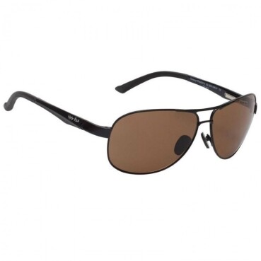 Bifocal sunglasses 2.50 discount